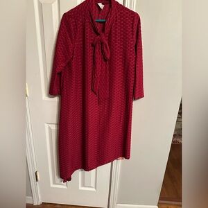 Red Textured Dress with Bow